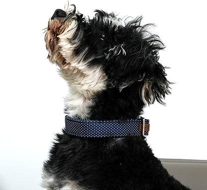 Lionet Paws Boy Dog Collar, Comfortable Adjustable Cute Navy Blue Collar with Metal Buckle for Male Dogs Gift, Medium, Neck 13.5-22 inches
