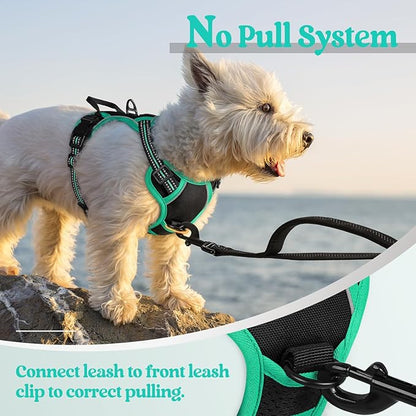 rabbitgoo Dog Harness No Pull with 2 Leash Clips, Adjustable Soft Padded, Reflective Oxford No Choke Pet Vest with Easy Control Handle for Puppy, Black & Turquoise, XS