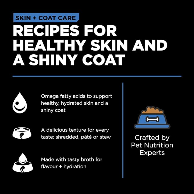 GO! SOLUTIONS Skin + Coat Care Wet Dog Food - Shredded Chicken Recipe with Grains - Complete & Balanced Nutrition for All Life Stages, 12.5 oz (Pack of 4)