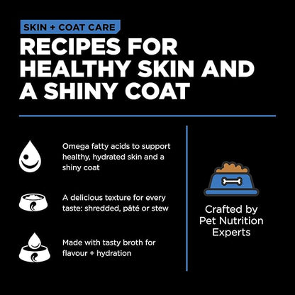 GO! SOLUTIONS Skin + Coat Care Wet Dog Food - Shredded Chicken Recipe with Grains - Complete & Balanced Nutrition for All Life Stages, 12.5 oz (Pack of 4)