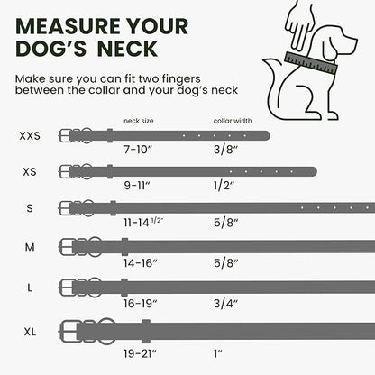 BRONZEDOG Rolled Leather Dog Collar with QR ID Tag Adjustable Soft Round Collars for Small Medium Large Dogs Puppy Cat (7" - 10" Neck Size, Violet)