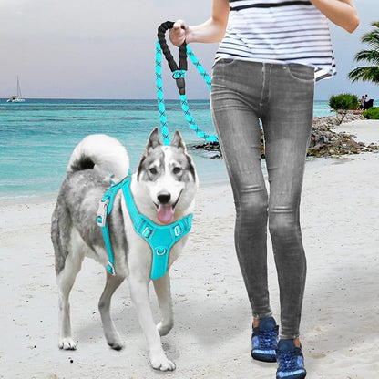 BARKBAY No Pull Dog Harness Large Reflective Dog Harness with Front Clip and Easy Control Handle for Walking Training Running with ID tag Pocket(Ocean Blue,M)