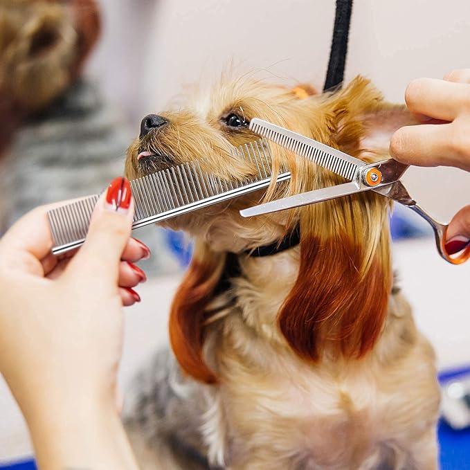 Dog Combs for Grooming, Metal Cat Comb for Removing Tangles and Knots, Professional Grooming Tool for Long Haired Dog, Cat and other pets