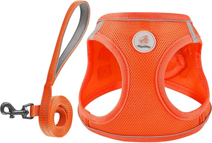 Dog Harness and Leash Set, No Pull Soft Mesh Puppy Harness for Small Medium Dogs, Cats - Step in Reflective Breathable Lightweight Vest Harness for Walking, Training - Orange, L
