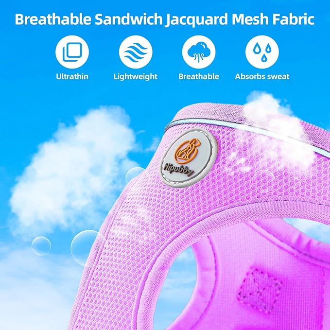 Dog Harness and Leash Set, No Pull Soft Mesh Puppy Harness for Small Medium Dogs, Cats - Step in Reflective Breathable Lightweight Vest Harness for Walking, Training - Purple, S