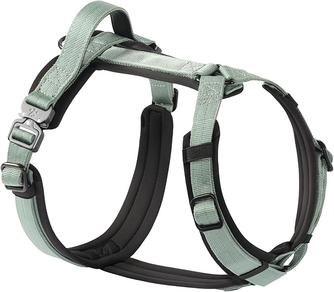 PawsPassion Dog Harness for Small Dogs, No Pull Dog Harness Easy Walk with Metal Hardware, Ergonomic Y-Shaped Design, Soft Padding, Padded Handle, Durable High-Tensile Nylon (Seabreeze, S)