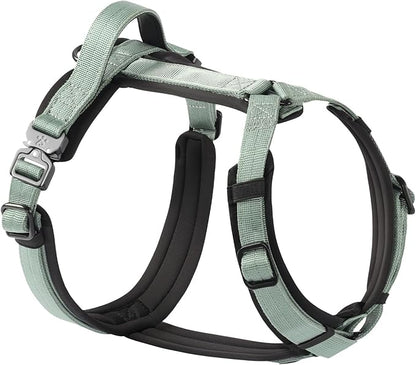 PawsPassion Dog Harness for Small Dogs, No Pull Dog Harness Easy Walk with Metal Hardware, Ergonomic Y-Shaped Design, Soft Padding, Padded Handle, Durable High-Tensile Nylon (Seabreeze, S)