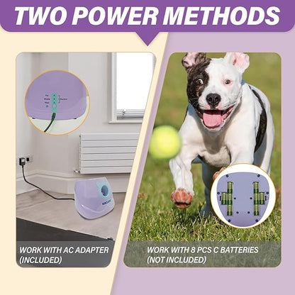 ptlsy Automatic Dog Ball Launcher - Interactive Puppy Pet Indoor Thrower for Small & Medium Dogs, 3 Balls Included (2 inch, Purple)