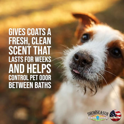 Bath & Brush Therapies® Pumpkin Spice Pet Cologne 12.5 oz For Dogs | Long-Lasting Odor Eliminator | Cruelty-Free | Paraben-Free | Biodegradable | Made in USA