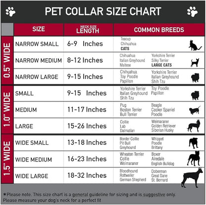 Dog Collar Plastic Clip The Mighty Thor Action Poses 8 to 12 Inches 0.5 Inch Wide