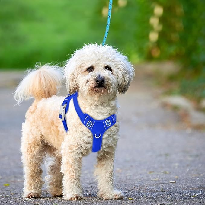 BARKBAY No Pull Dog Harness Large Reflective Dog Harness with Front Clip and Easy Control Handle for Walking Training Running with ID tag Pocket(Sapphire Blue,XS)