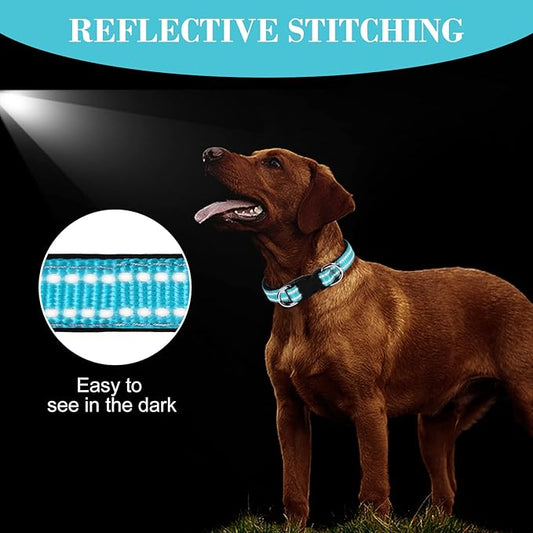 AUAUY Reflective Nylon Dog Collars, Adjustable Classic Pet Collars with Soft Neoprene Padding, Double Security Dual D-Ring and Quick Release Buckle for Small Puppy, Medium and Large Dogs (Lake Blue-S)