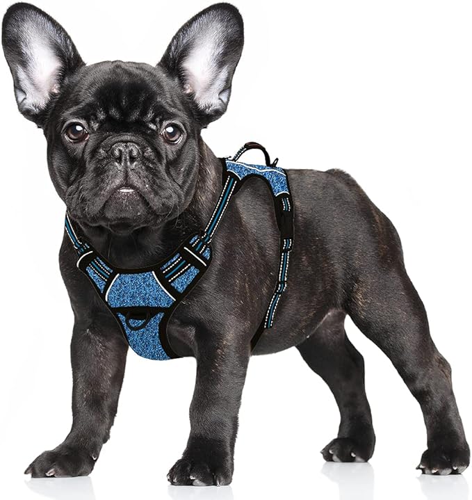 BARKBAY No Pull Dog Harness Large Reflective Dog Harness with Front Clip and Easy Control Handle for Walking Training Running with ID tag Pocket(Blue/Black,S)