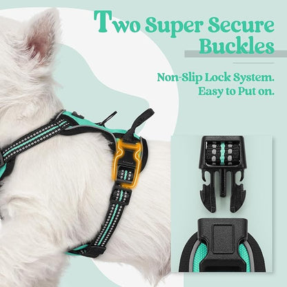 rabbitgoo Dog Harness No Pull with 2 Leash Clips, Adjustable Soft Padded, Reflective Oxford No Choke Pet Vest with Easy Control Handle for Puppy, Turquoise, XS