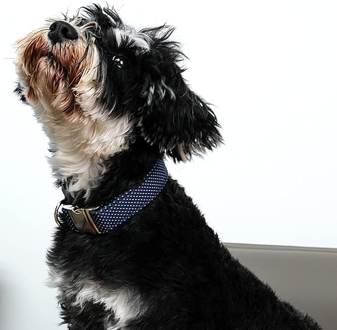 Lionet Paws Boy Dog Collar, Comfortable Adjustable Cute Navy Blue Collar with Metal Buckle for Male Dogs Gift, Medium, Neck 13.5-22 inches