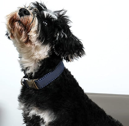 Lionet Paws Boy Dog Collar, Comfortable Adjustable Cute Navy Blue Collar with Metal Buckle for Male Dogs Gift, Medium, Neck 13.5-22 inches