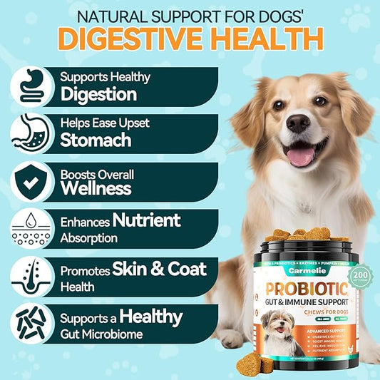 Probiotics for Dogs, 200 Soft Chews Digestive Probiotics & Enzymes for Gut Health with Pumpkin, Fibre for Dogs Anti Diarrhea, Upset Stomach, Gas Relief, Itchy Skin & Immune Support (Chicken)