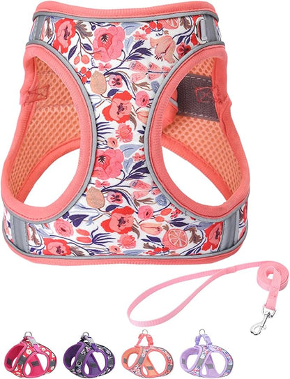 Step in Dog Harness and Leash Set, Flower Adjustable Easy Walk Puppy Harnesses, Soft Mesh Pet Vest Harness Small Size Dog Adjustable No Pull Dog Harness for Small Medium Dogs(Pink, M)