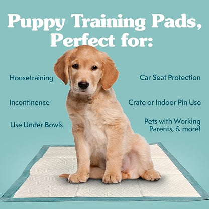 Simple Solution Extra Large Puppy Training Pads – Leak-Proof Potty Pads for Large Dogs – Absorbent and Disposable with Odor Control for Housebreaking – 28 x 30 Inches – 100 Count