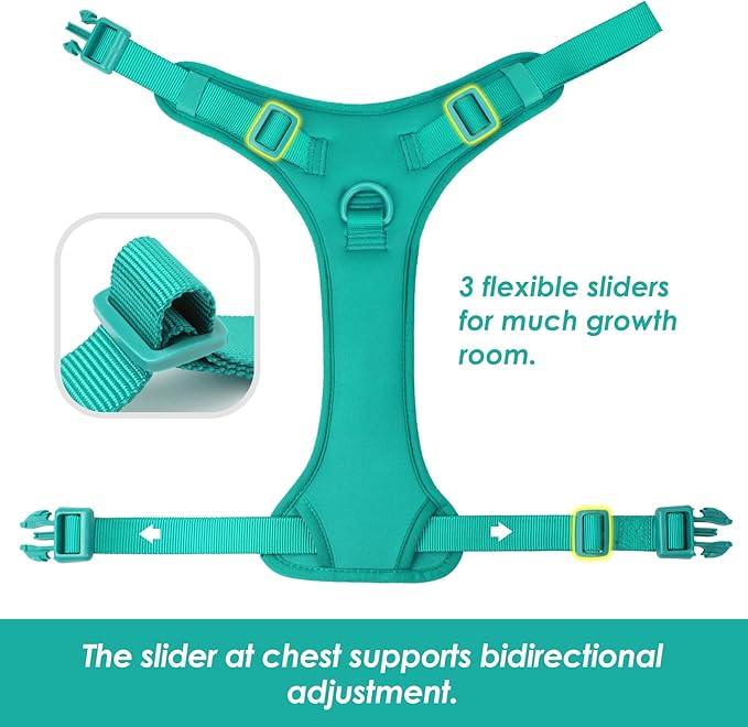 No Pull Dog Harness, Puppy Vest with Front Clip for Small Medium Large Sized Dog(MARRS Green,M)