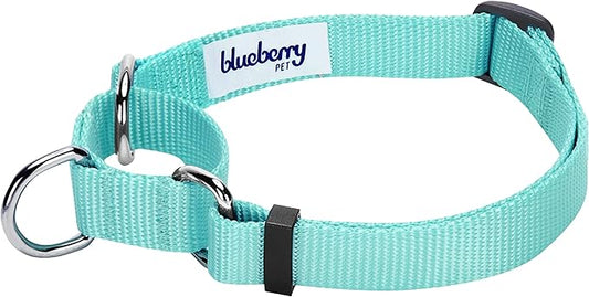 Blueberry Pet Essentials Martingale Safety Training Dog Collar, Mint Blue, Medium, Heavy Duty Nylon Adjustable Collars for Dogs