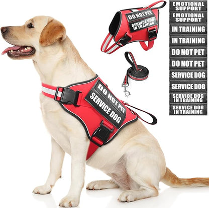 Service Dog Vest Harness and Leash Set+10 Patches,No Pull&Adjustable Reflective Dog Harness with Soft Padded Handle for Training/Everyday,Fit Small/Medium/Large/Extra-Large Dogs(Red L)