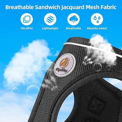 Dog Harness and Leash Set, No Pull Soft Mesh Puppy Harness for Small Medium Dogs, Cats - Step in Reflective Breathable Lightweight Vest Harness for Walking, Training - Black, S