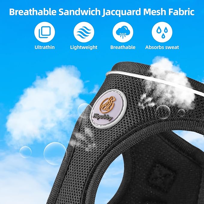 Dog Harness and Leash Set, No Pull Soft Mesh Puppy Harness for Small Medium Dogs, Cats - Step in Reflective Breathable Lightweight Vest Harness for Walking, Training - Black, L
