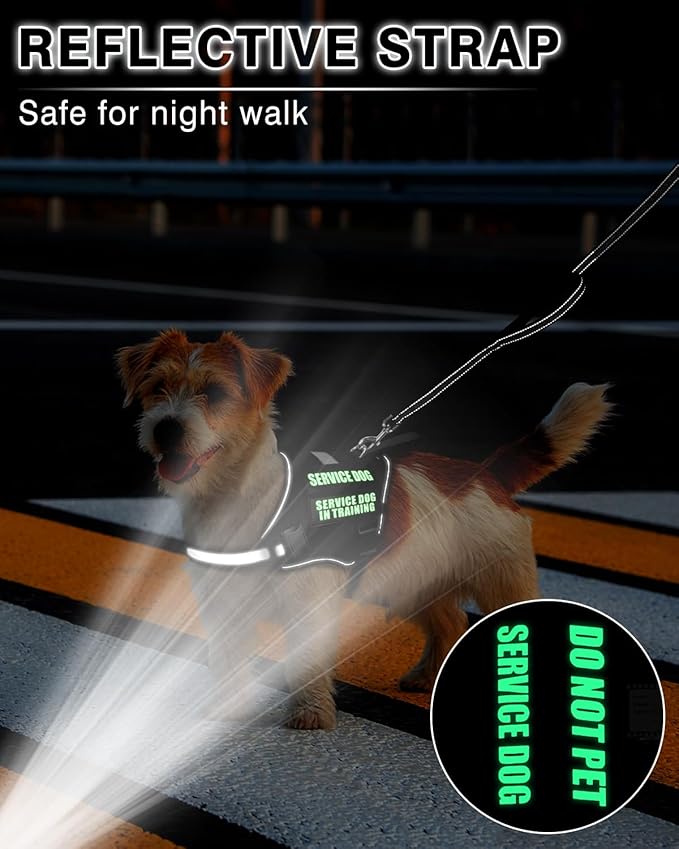 Service Dog Vest Harness and Leash Set+10 Patches for Puppy Small Dogs,Do Not Pet Emotional Support Dog Vest with 2 Soft Padded Handle for Everyday/Training (Black XS)