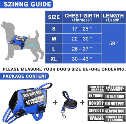Service Dog Vest Harness and Leash Set+10 Patches,No Pull&Easy Walk Reflective Dog Harness with Soft Padded Handle for Training/Everyday,Fit Small/Medium/Large/Extra-Large Dogs (Blue M)
