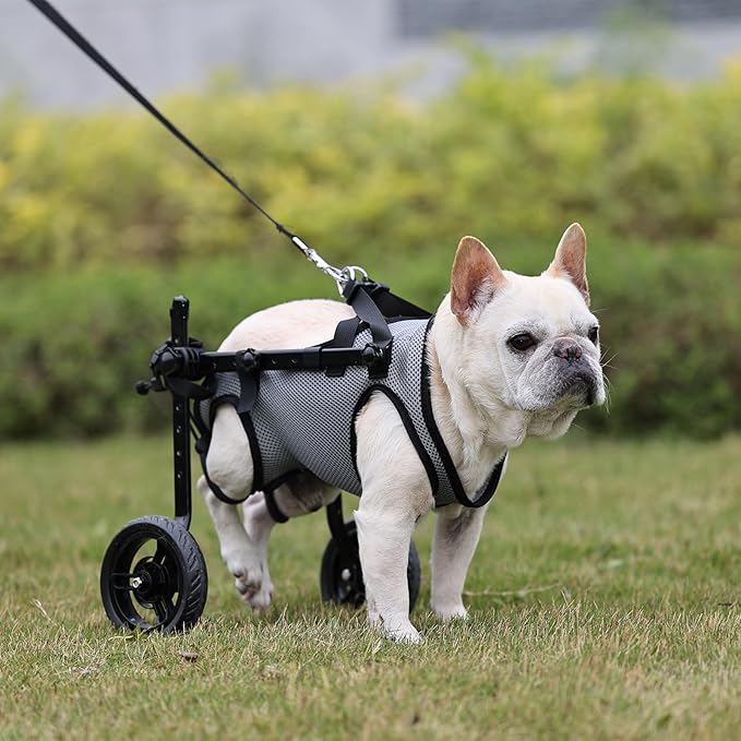 Small Dog Wheelchair for Back Legs, Light Weight Dog&Cat&Pets Wheelchair Cart with Disabled Hind Legs Walking, Adjustable Doggy Wheelchair Cart with Wheels for Back Legs