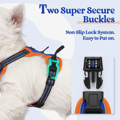 rabbitgoo Dog Harness No Pull with 2 Leash Clips, Adjustable Soft Padded, Reflective Oxford No Choke Pet Vest with Easy Control Handle for Puppy, Blue & Orange, XS