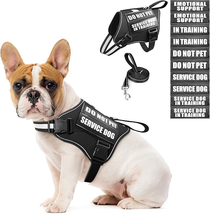 Service Dog Vest Harness and Leash Set+10 Patches,No Pull&Easy Walk Reflective Dog Harness with Soft Padded Handle for Training/Everyday,Fit Small/Medium/Large/Extra-Large Dogs (Black S)