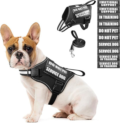 Service Dog Vest Harness and Leash Set+10 Patches,No Pull&Easy Walk Reflective Dog Harness with Soft Padded Handle for Training/Everyday,Fit Small/Medium/Large/Extra-Large Dogs (Black S)