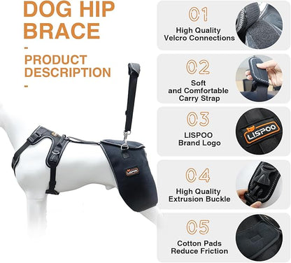 Dog Hip Support Brace - Adjustable Dog Leg Brace for Hip Dysplasia/Arthritis/Pain Relief, Warm & Breathable Luxating Patella Stabilizer, Post-Surgery Recovery for Medium Large Dogs (XL)