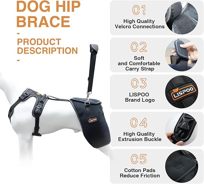 Dog Hip Support Brace - Adjustable Dog Leg Brace for Hip Dysplasia/Arthritis/Pain Relief, Warm & Breathable Luxating Patella Stabilizer, Post-Surgery Recovery(Size L)