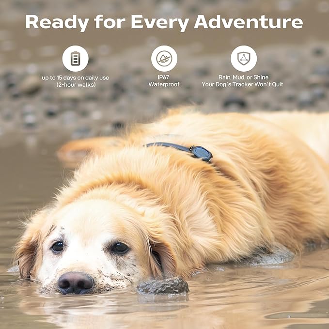 Aorkuler Outdoor GPS Dog Tracker for Remote & Rural Areas – No Phone or Signal Needed,Real-Time Tracking for Daily Walks,Hiking, Camping, Farms, and Large Open Spaces,No Monthly Fees(Tracker 2)