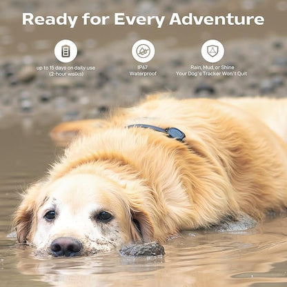 Aorkuler Outdoor GPS Dog Tracker for No-Signal Areas - Outdoor Pet Locator Finder Tracker, Real-Time Tracking for Hiking/Walking/Camping, Works in Remote Wilderness/Farms/Large Parks (Tracker 2)