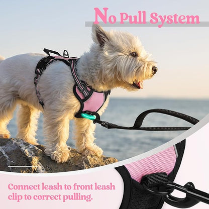 rabbitgoo Dog Harness No Pull with 2 Leash Clips, Adjustable Soft Padded, Reflective Oxford No Choke Pet Vest with Easy Control Handle for Puppy, Pink, XS