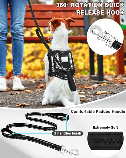 Service Dog Vest Harness and Leash Set+10 Patches for Puppy Small Dogs,Do Not Pet Emotional Support Dog Vest with 2 Soft Padded Handle for Everyday/Training (Black XS)