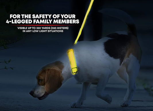 ILLUMISEEN LED Dog Collar USB Rechargeable - Bright & High Visibility Lighted Glow Collar for Pet Night Walking - Weatherproof, in 6 Colors & 6 Sizes (Yellow Large)