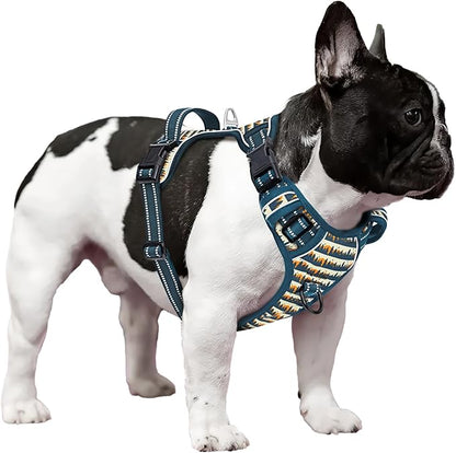 Timos Dog Harness, 3 Snap Buckles No-Pull Soft Padded Dog Vest with 2 Metal Leash Clips, Adjustable Reflective No Choke Pet Harness with Easy Control Handle for Small Dogs, Sunset Valley, S