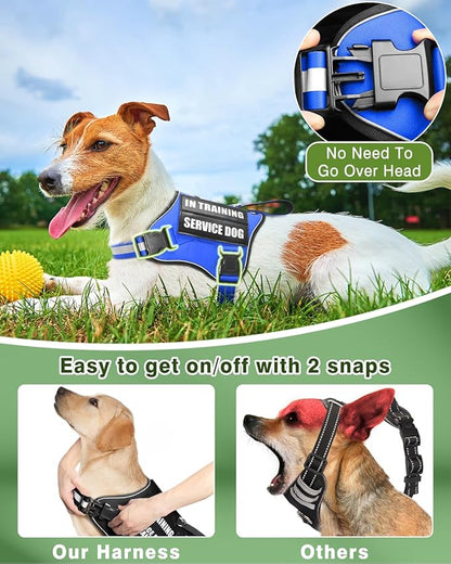 Service Dog Vest Harness and Leash Set+10 Patches for Puppy Small Dogs,Do Not Pet Emotional Support Dog Vest with 2 Soft Padded Handle for Everyday/Training (Blue XS)