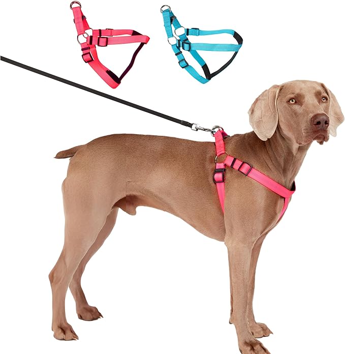 BLAZIN Reflective Dog Harness - 'Color Me Happy!' Adjustable Step-in Reflective Nylon Vest Harness - Neoprene Padded for Extra Comfort (Large, Pink)