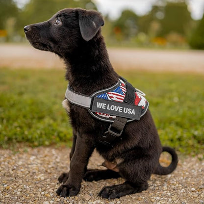 Personalized No-Pull Dog Harness with Name Patch, Adjustable, Reflective, Padded, Heavy Duty Pet Vest to Prevent Tugging, Pulling, or Choking, Training and Walking, Military Desert, S