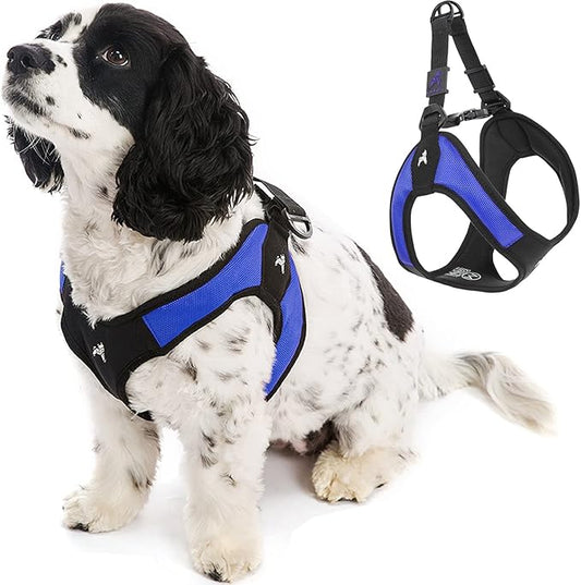 Gooby Escape Free Easy Fit Harness - Blue, Medium - No Pull Step-in Patented Small Dog Harness with Quick Release Buckle - Perfect On The Go No Pull Harness for Small Dogs or Medium Dog Harness