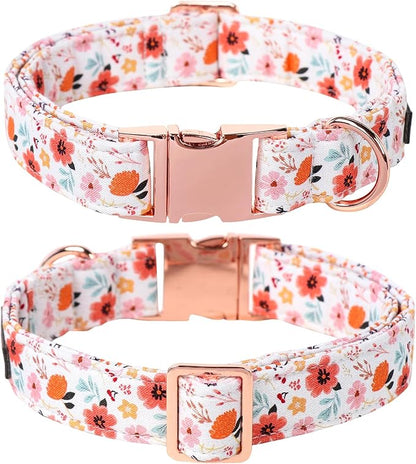 Lionet Paws Dog Collar, Adjustable Cute Collar with Metal Buckle for Male Female Puppies Gift,Summer Flower, Medium, Neck 13.5-22 inches