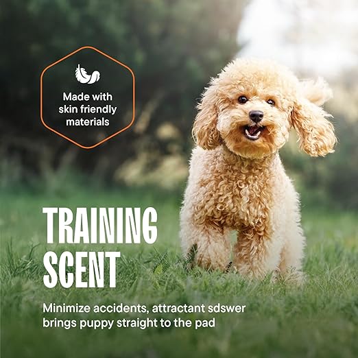 Puppy Pads Pet Pee Pads 23"x36" [200-Count] Pet Training Disposable Pads, Medium Breed Pad, Leak-Proof, Bulk Case Pack - for Cocker Spaniels, Beagles, French Bulldogs, Heavy Duty Surface Protector