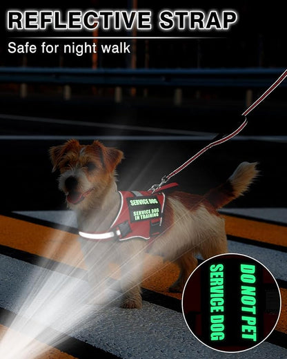 Service Dog Vest Harness and Leash Set+10 Patches for Puppy Small Dogs,Do Not Pet Emotional Support Dog Vest with 2 Soft Padded Handle for Everyday/Training (Red XS)