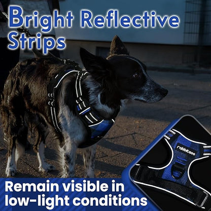 rabbitgoo Dog Harness No Pull with 2 Leash Clips, Adjustable Soft Padded, Reflective Oxford No Choke Pet Vest with Easy Control Handle for Large Dogs, Blue Plaid, XL